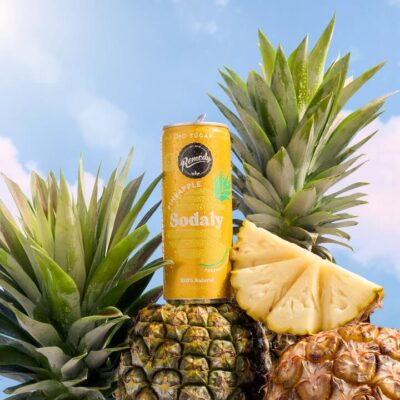 Remedy Sodaly Pineapple – 24 x 250ml Booze Buddie Remedy Sodaly Pineapple - 24 x 250ml