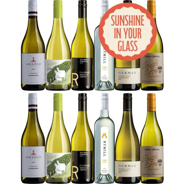 Festive Chardonnay Dozen, Australia multi-regional Chardonnay Wine Case, Wine Selectors