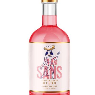 Ms Sans Juniper Berry Blush Pink Gin substitute | Sans Drinks Booze Buddie Ms Sans Juniper Berry Blush Pink Gin substitute | Sans Drinks