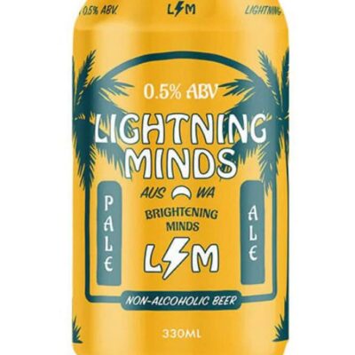 Lightning Minds Pale Ale – 1x330ml | Sans Drinks Booze Buddie Lightning Minds Pale Ale - 1x330ml | Sans Drinks
