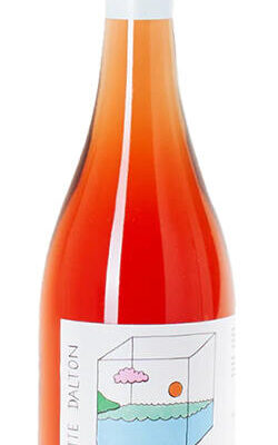 Charlotte Dalton Langhorne Creek Isolated Rose 2023