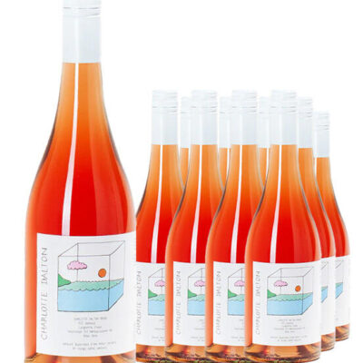 Charlotte Dalton Langhorne Creek Isolated Rose 2023 Dozen
