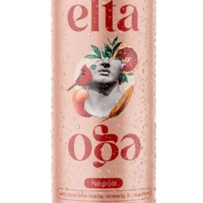 Elta Ego Alcohol Free Cocktail Negroni - 24x250ml | Sans Drinks