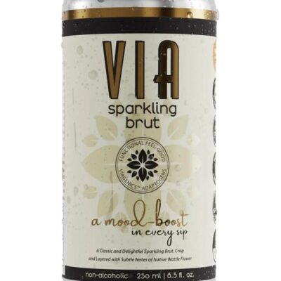 VIA Drinks Sparkling Brut - 1x250ml | Sans Drinks