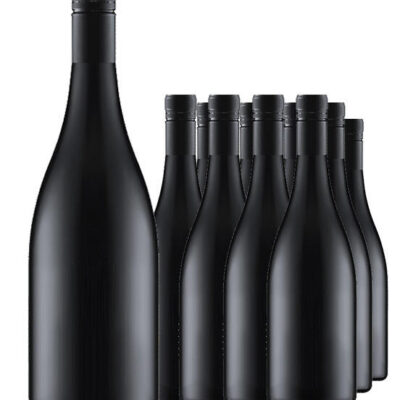 Icon Tasmanian Pinot Noir 2025 Cleanskin Dozen
