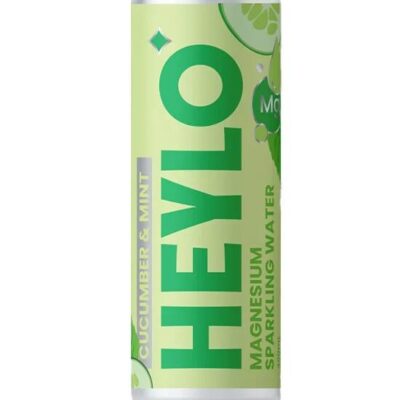 HEYLO Magnesium Sparkling Water Cucumber and Mint 300ml – 1x300ml | Sans Drinks Booze Buddie HEYLO Magnesium Sparkling Water Cucumber and Mint 300ml - 1x300ml | Sans Drinks