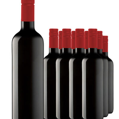 The Ripping DDG Barossa Valley Shiraz 2021 Cleanskin Dozen