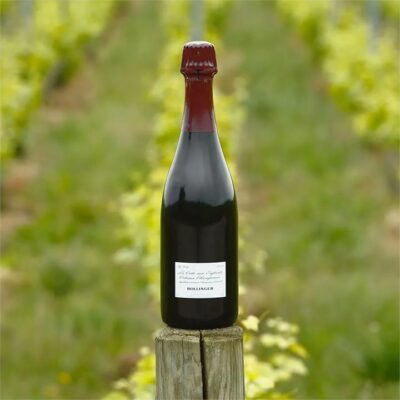Bollinger La Cote aux Enfants Pinot Noir 2016