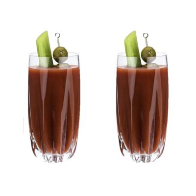 VISKI Cactus Crystal Highball Glasses, Set of 2