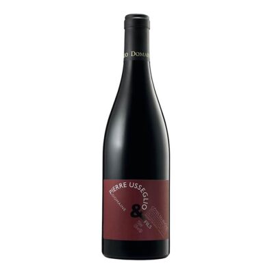Domaine Pierre Usseglio et Fils Cotes Du Rhone 2021