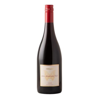 Bindi Dhillon Glenhope Macedon Ranges Accidental Red 2023