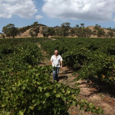 Geoff Merrill Reserve Shiraz 2016