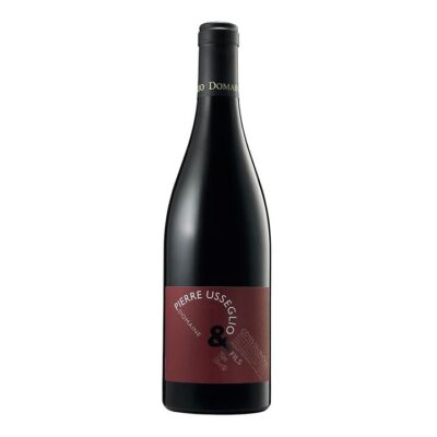 Domaine Pierre Usseglio & Fils Cotes Du Rhone 2022